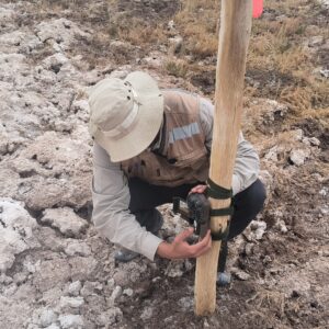 levantamiento de líneas de base de biodiversidad en terreno.